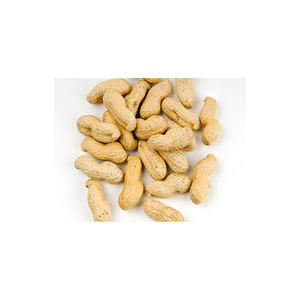 Venta Directa de Fábrica: Cacahuetes Rojos de EE. UU. a Granel, Grado Alimenticio, Empaque Personalizable, Procesamiento de Materia Prima, 2 Años de Vida Útil, Frescos - Product Image 4