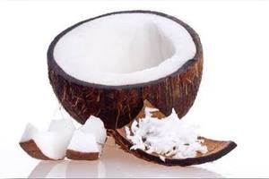 Polpa de coco fresca, polpa de coco madura, polpa de coco premium, proveedor de polpa de coco de Vietnam, fabricante de polpa de coco, coco - Product Image 4