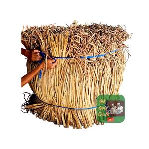 Matériau sec brut de jacinthe d'eau du Vietnam à faible coût, haute flexibilité pour le tissage de sièges, prix direct usine - Product Image 5