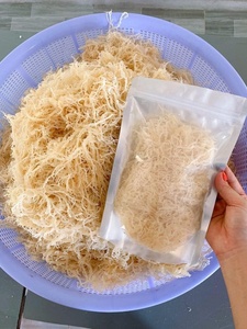 Alga Nori VILACONIC Natural Dorada de Cultivo Silvestre, Alga Eucheuma Cottonii Seca en Polvo a Granel/ ANNA DO - Product Image 5