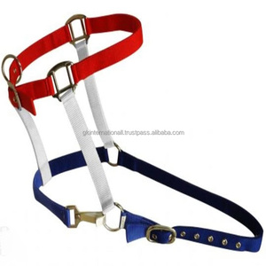 Colorful Nylon Webbing Custom Made Nylon Horse Halter with Double Stitching and Rust Free Nickel Plated Hardware All Sizes - Product Image 2