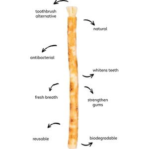 Palitos de Miswak Orgánicos Pakistaníes Premium, Gruesos y Frescos, Cajas de Miswak Impresas Personalizadas para Venta al Por Mayor - Product Image 4