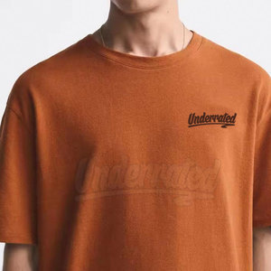 Camisetas de Moda para Hombre 100% Algodón, Oversize, Hombro Caído, Corte Relajado, Manga Corta, Ecológicas, de Secado Rápido, Diseño Liso, Venta al por Mayor - Product Image 6