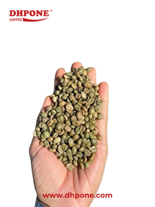 Grains de café Arabica Vert du Vietnam 16, Qualité Naturelle Pure et Stable pour Torréfaction, Fournisseur d'Exportation en Gros - Product Image 4