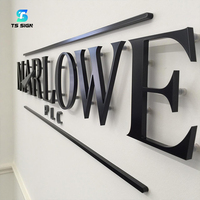 Letras de Canal Acrílicas Tridimensionales Premium del Fabricante, Sin Iluminación, para Paredes de Oficinas Modernas, Logotipos Metálicos