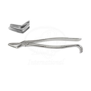 Forceps dentaires équins pour l'extraction des dents de loup, en acier inoxydable, 9,5 pouces, réutilisables, certifiés ISO/CE, pour la dentisterie vétérinaire des chevaux - Product Image 1