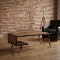 Table basse en bois moderne, design mid-century, étagère de rangement, meubles de salon