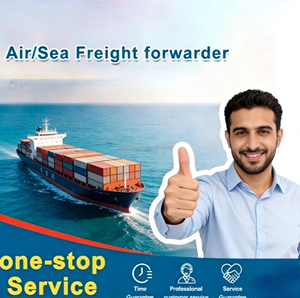 中国基于本土运营的货运公司，提供可靠的海上运输服务 佛山 广州 深圳 巴林 迪拜 加拿大 - Product Image 5