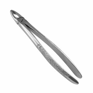 Forceps d'extraction dentaire à bec cranté en acier inoxydable, instrument de chirurgie buccale de précision pour l'élimination des dents - Product Image 4