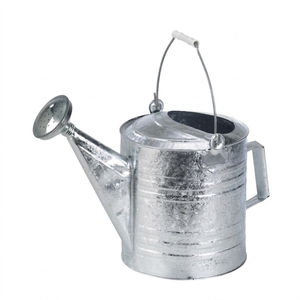 Regadera de Metal Galvanizado de la Mejor Calidad con Cabezal de Aspersión, Decoración Rústica con Doble Asa al Precio Más Bajo - Product Image 5