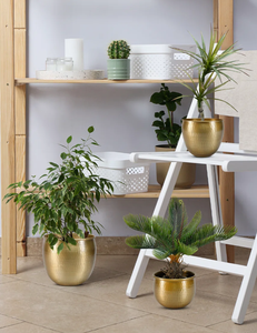 Jardinière en laiton d'inspiration vintage, plantes d'intérieur élégantes pour décor de jardin, design rond et élégant pour motif carré de salon - Product Image 5