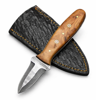 Couteau à huîtres en bois en gros avec étui, outils pour fruits de mer, ouvre-coquillages, accessoires de cuisine écologiques, compatibles micro-ondes