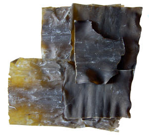 Kombu/Dashi kombu สาหร่ายทะเล/สาหร่ายธรรมชาติ Mr. kris - Product Image 3