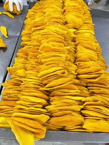 Rodajas de Mango Deshidratado Orgánico, Proceso IQF, Snack de Fruta Tropical Dulce, Envasado al Vacío, Suave y Masticable, Sabor Natural, Origen Vietnam - Product Image 5