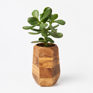 Wholesale Handmade Geometric <b>Wooden</b> Succulent <b>Planter</b> Indoor Flower Pot for Office Desk & Home Decor Solid Wood <b>Small</b> Plant Pot - Product Image 5