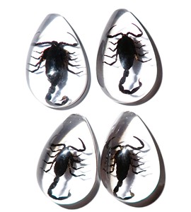 Cabochon Black Scorpion Real Specimen Pear Shape cut <b>top</b> 33x22 mm Clear Flat Bottom for Crafts and Jewelry Making - Product Image 4