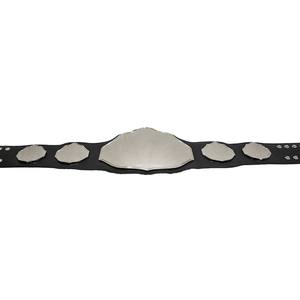 Cinturón de Campeonato de Lucha Libre Ligero y Resistente, Equipo de Artes Marciales de Cuero de Alta Calidad - Product Image 4