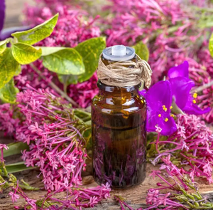 High Quality Clary Sage Essential <b>Oil</b> for Skin Hair Aromatherapy <b>Diffuser</b> Pure Natural Steam Distilled <b>Oil</b> Wholesale Bulk Supply - Product Image 1