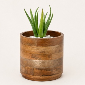 Handmade Mango Wood Succulent Planter <b>Pot</b> Rustic Solid Wood Round Desktop Flower <b>Pot</b> Eco-Friendly Wholesale Wooden Plant <b>Holder</b> - Product Image 1