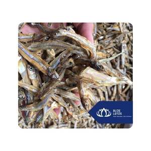 Anchoas secas disponibles para sopas y caldos, ingrediente de marisco utilizado para condimentar en cocinas de restaurantes en Vietnam. - Product Image 1