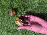 Bola Mata Harimau Batu Akik Poles Bola Batu Alam Koleksi Seni Barang Dekoratif Pola Mata Harimau Warna Oranye Coklat