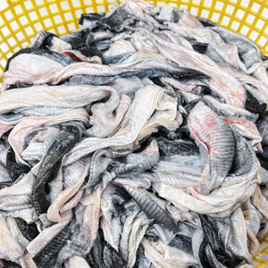 ราคาดีที่สุด หนังปลาแช่แข็งสด / หนังปลาปังกาซิอุสแช่แข็ง สำหรับคอลลาเจน / คุณอลินา - Product Image 6