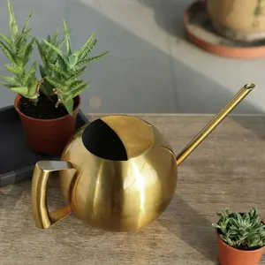 Arrosoir à long bec en métal de qualité supérieure, pièce décorative de luxe, arrosoir en métal fait main moderne pour plantes d'intérieur, aspect rustique - Product Image 3