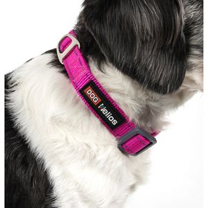 Guinzaglio e Collare per Cani Neo Indistruttibili Sportivi Ricamati, Spessi e Resistenti con Facile Controllo della Tensione per Compagni Canini Attivi - Product Image 4