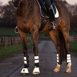 Nouvelles bottes d'équitation confortables, bottes de protection des tendons et protections personnalisées, style équestre, bottes d'équitation longues pour femmes - Product Image 4