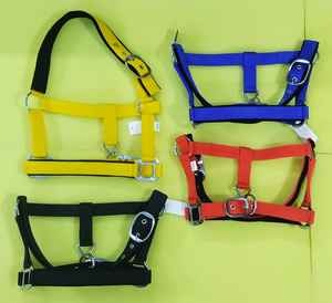 Cabestro Personalizable de Pelo de Caballo con Cinta para Caballo, Herrajes Duraderos de Cromo Sólido, Mejor Precio al por Mayor - Product Image 6