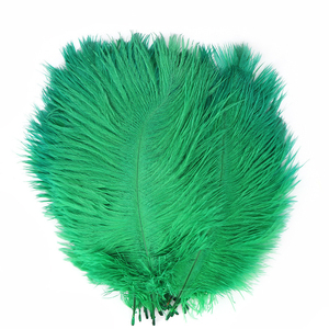 Plumes d'autruche fraîches en gros, qualité supérieure, stock pour commandes B2B de grande quantité - Product Image 5