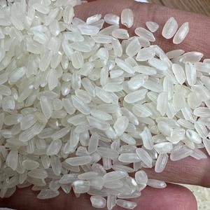 [Keith Vilaconic] Riz Camolino à grains moyens, lisse et poli, pour l'exportation en vrac |   Riz Camolino Grain Moyen - Product Image 3