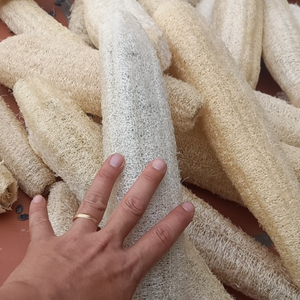 Loofah entier séché en fibres naturelles du Vietnam pour la création d'objets artisanaux et l'ajout d'une texture rustique, couleur par 99 Gold Data - Product Image 2