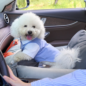 Portable Pet Carrier <b>Bag</b> for Cats and Small Dogs Soft Sided Breathable Mesh Travel <b>Tote</b> with Car Seat Straps and Shoulder <b>Pad</b> - Product Image 1