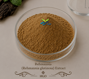 Fourniture directe d'usine HGO d'extrait de Rehmannia (Rehmannia glutinosa) naturel pur (qualité alimentaire santé) spécification 10:1 - Product Image 1