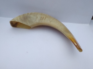 Corne de Bélier / Corne de Mouton Artisanat Naturel 100% Corne de Bélier Naturelle Polie Shofar pour la Récitation - Product Image 1