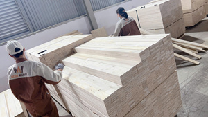 UNIGO Industrial Double Sanded Smooth Wholesale Promotion LVL Wood Bunk Bed Frame Made Hoa Binh Eco-Friendly Pine <b>Veneer</b> E1 - Product Image 5