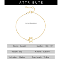 Bracelet Hexagramme en Argent Sterling 925 pour Hommes et Femmes, Pendentif Étoile Tridimensionnelle, Chaîne Câble, Plaqué Or Véritable 18K