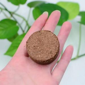 Disques de tourbe de coco naturelle de qualité supérieure pour le jardinage domestique, les pépinières commerciales et la culture professionnelle des plantes - Product Image 4