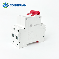 Disjoncteur miniature 2 pôles DZ47-63 63A Courbe C 6kA pour boîtier de distribution