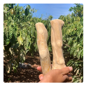 Alta calidad Vietnam exportación madera perro masticar Natural mascota masticar juguetes para perros al por mayor - Product Image 2