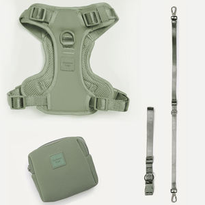 Ensemble Harnais et Laisse pour Chien, Harnais Réglable Anti-Traction et Anti-Étranglement pour Chiots, Idéal pour la Promenade des Animaux de Compagnie de Petite, Moyenne et Grande Taille - Product Image 1