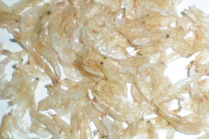 กุ้งแห้งพรีเมียมสำหรับเด็ก - อาหารทะเลโปรตีนสูงสำหรับส่งออก - Product Image 4