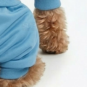 Conjunto Deportivo para Mascotas de Invierno, Cómodo, Ecológico, de Alta Calidad, Suave y Cálido, Estilo Atlético para Cachorros Pequeños, Ropa de Poliéster - Product Image 4