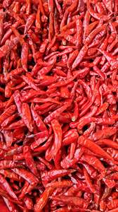 CHILE SECO NATURAL / PURO Y SABOROSO / HECHO EN VIETNAM / Sra. Elysia - Product Image 2