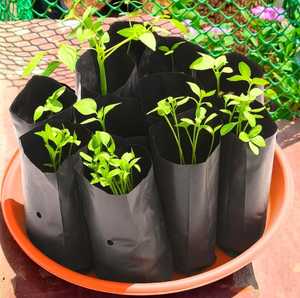 Black Plastic Grow Bags with Drainage Holes Reusable Seedling <b>Planter</b> Pouch <b>for</b> Garden 18gallon - Product Image 3