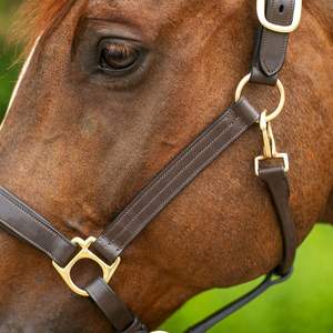 Diseño Innovador de Halter de Cuero Occidental Decorativo para Montar a Caballo, Halter Transpirable con Accesorios Plateados - Product Image 4