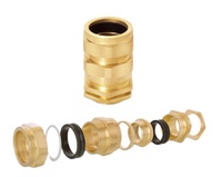 Presse-étoupe nickelée en laiton pur blindé anti-déflagrant pour l'industrie M20 M25 NPT personnalisable avec le carénage de PVC