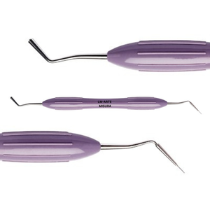 Juego de 5 piezas de instrumentos con mango de silicona compuesta de colores, con estuche, espátula de relleno Ergo Grip y condensador Plugger - Product Image 6