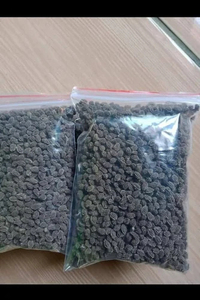 Graines de papaye de qualité supérieure, graines naturelles pour la vente en gros, commandes en gros et marchés mondiaux - Product Image 3